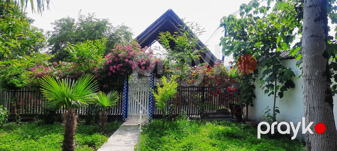 Həyət evi kirayə verilir, Zaqatala ş — Ev, villa, Zaqatala (9)