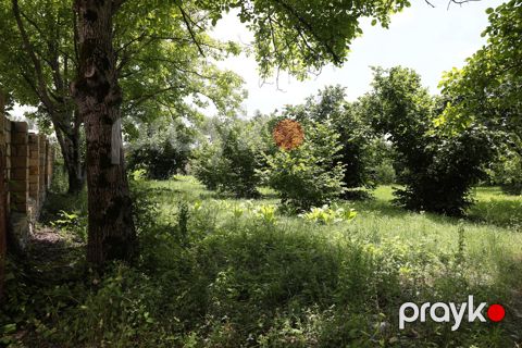 Satılır torpaq 40 sot — Qəbələ