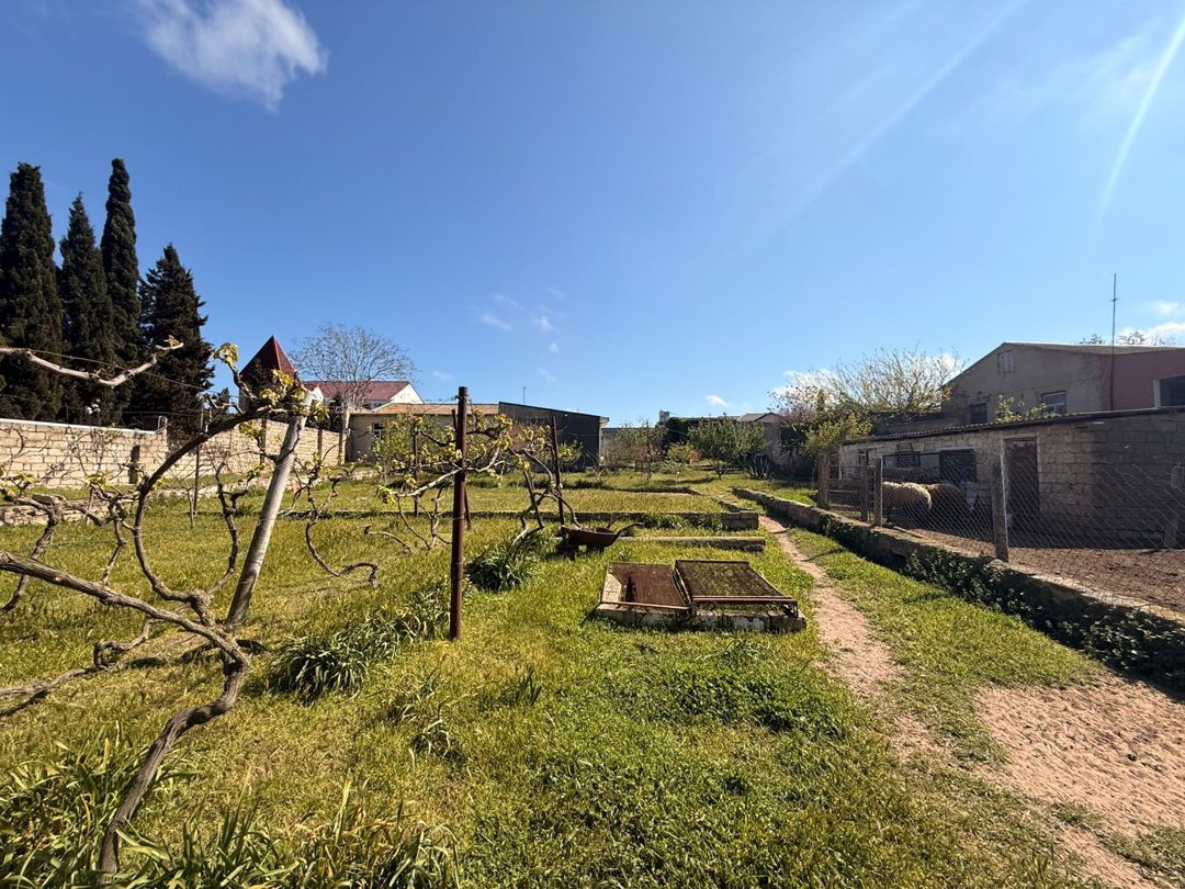 Satılır torpaq 27 sot — Torpaq, Bakı (5)