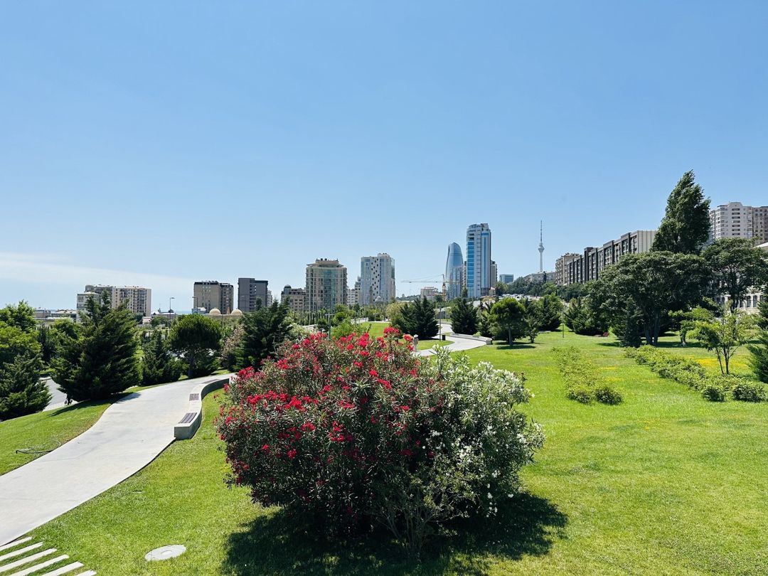 Satılır 3 otaqlı yeni tikili 90 m² — Mənzil, Bakı (3)