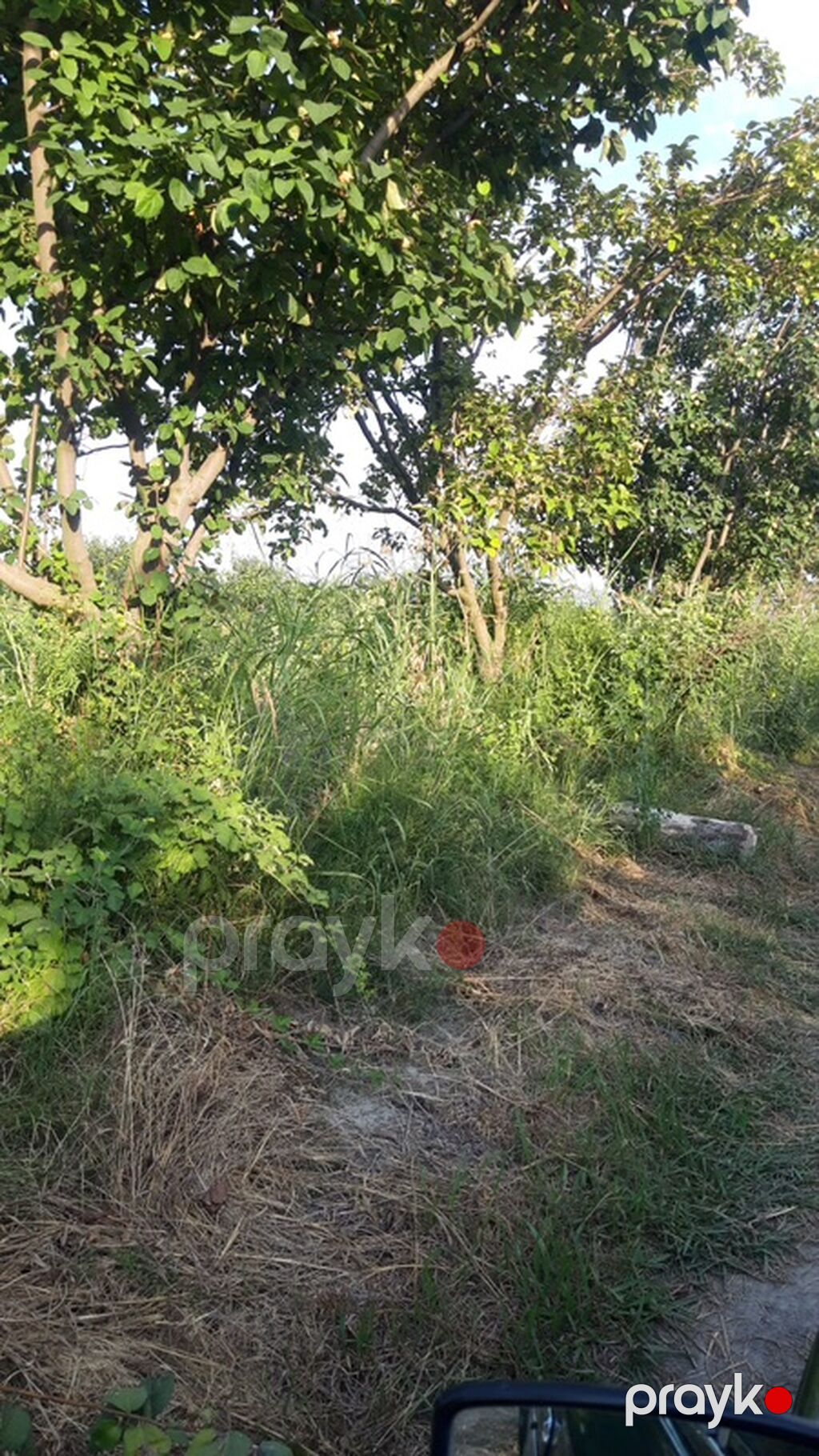 300 sot, Biznes üçün, Mülkiyyətçi, Kupça (Çıxarış) — Torpaq, Göyçay (6)