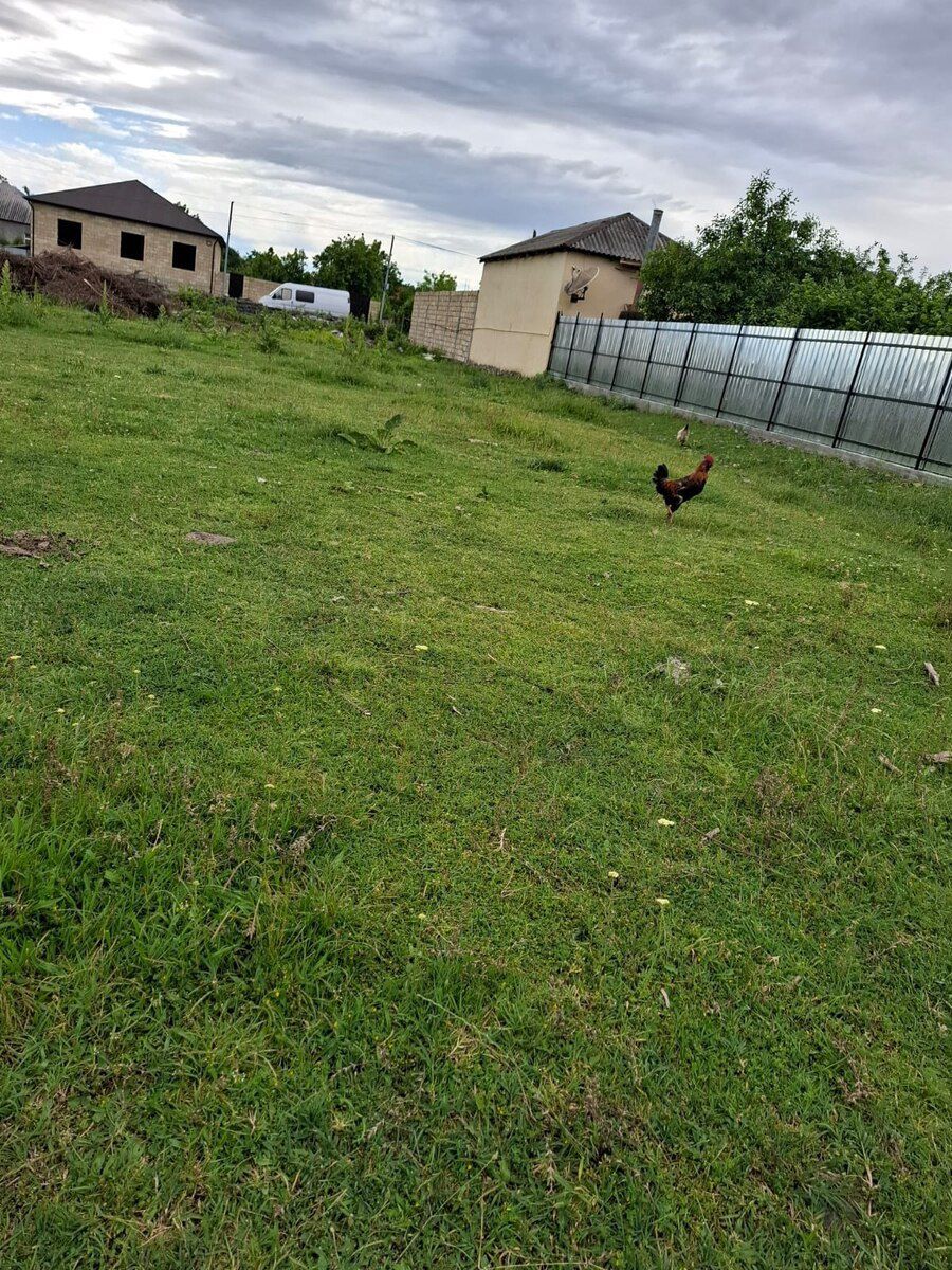 12 sot torpaq sahəsi, Zaqatala ş — Torpaq, Zaqatala (7)