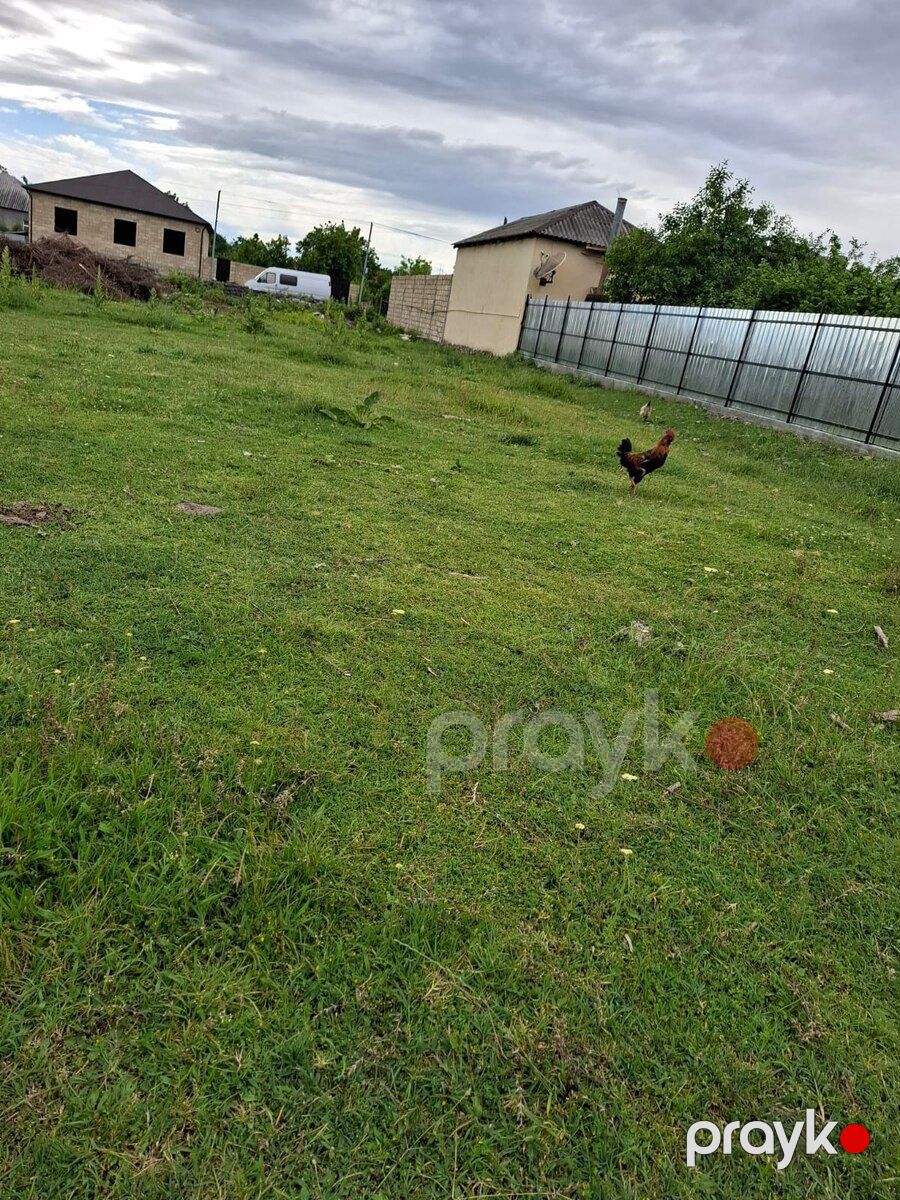 12 sot torpaq sahəsi, Zaqatala ş — Torpaq, Zaqatala (7)