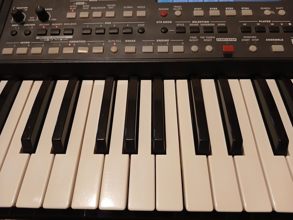 Korg Pa600 aranjor klaviatura - 61 klaviş, dinamik həssaslıq - Rəngli — Pianino və digər klaviş alətləri, Sumqayıt (3)
