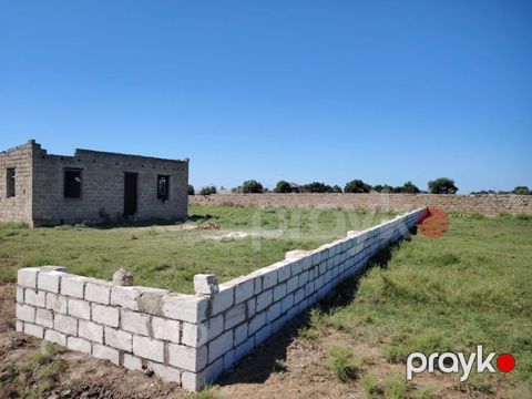 10 sot torpaq sahəsi, Binə qəs