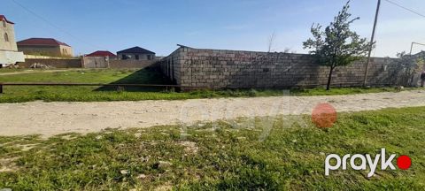 2 sot, Kənd təsərrüfatı, Mülkiyyətçi, Kupça (Çıxarış) — Novxanı