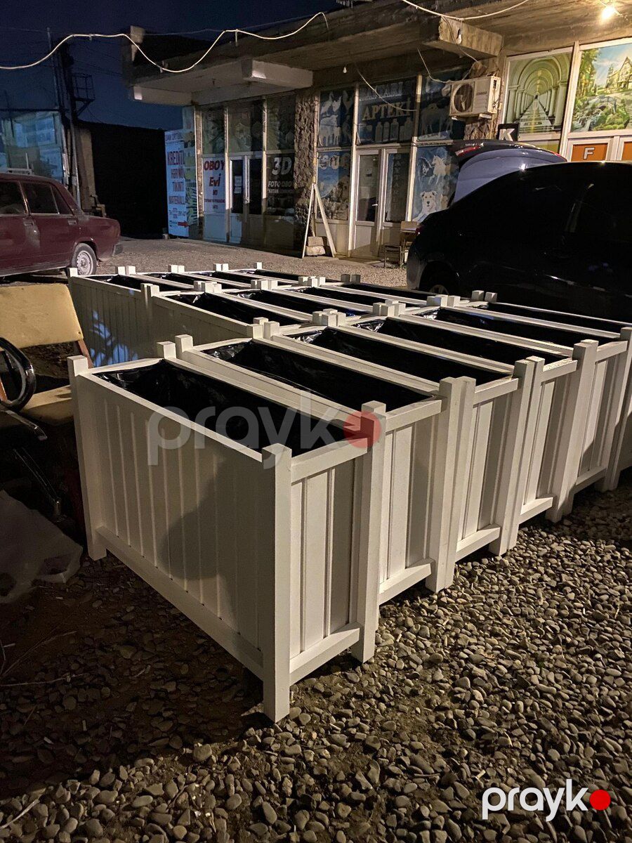 Premium dibçək — Bitkilər, Bakı (2)