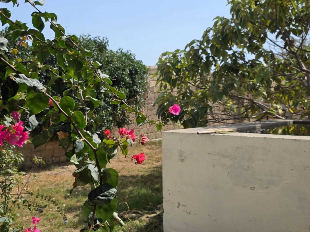 Satılır 6 otaqlı həyət evi/bağ evi 360 m² — Ev, villa, Bakı (7)