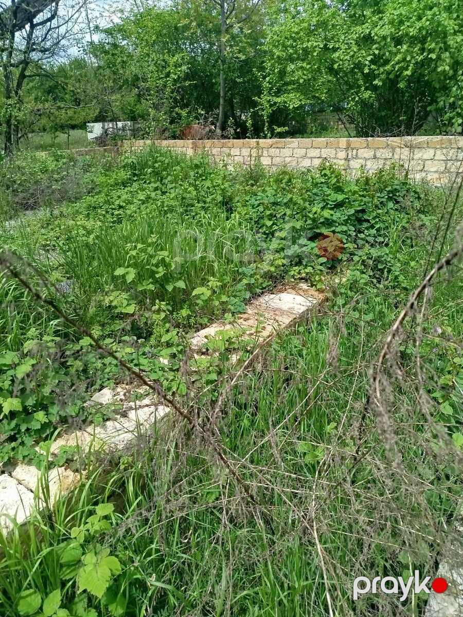 Satılır torpaq 3 sot — Torpaq, Qəbələ (3)