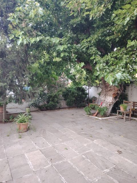 İcarəyə verilir 3 otaqlı həyət evi/bağ evi 55 m² — Bakı