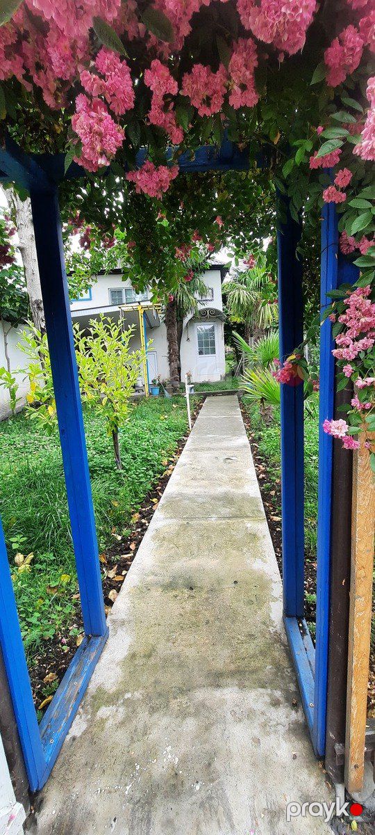 Həyət evi kirayə verilir, Zaqatala ş — Ev, villa, Zaqatala (8)