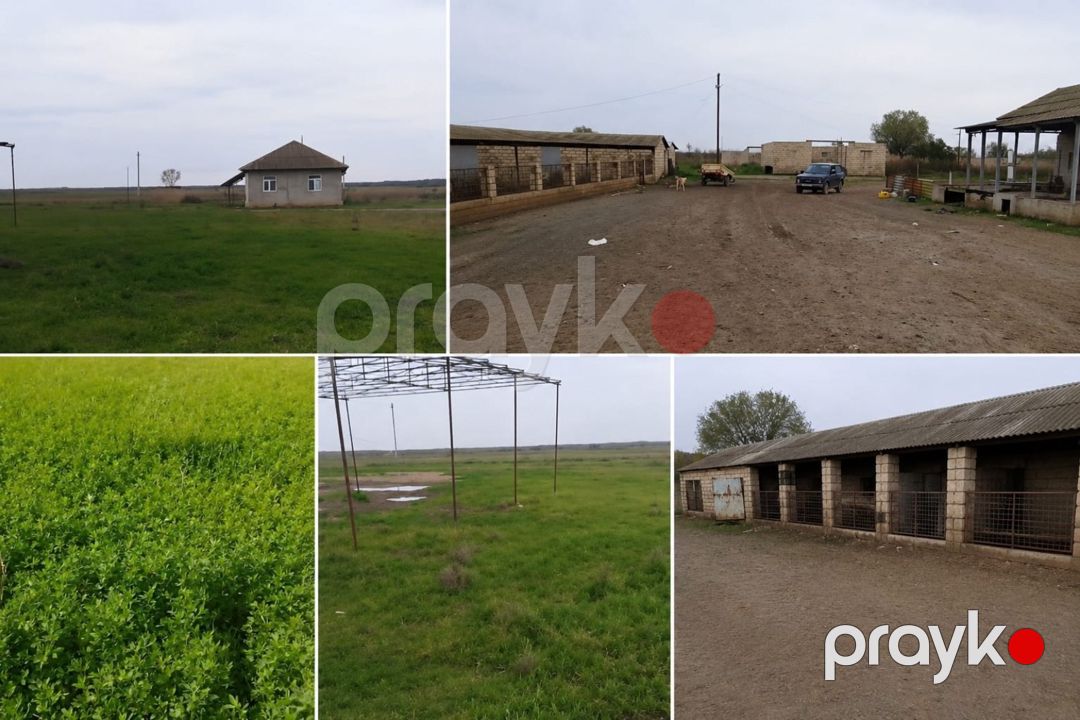 Həyət evi, Salyan r — Ev, villa, Salyan (2)