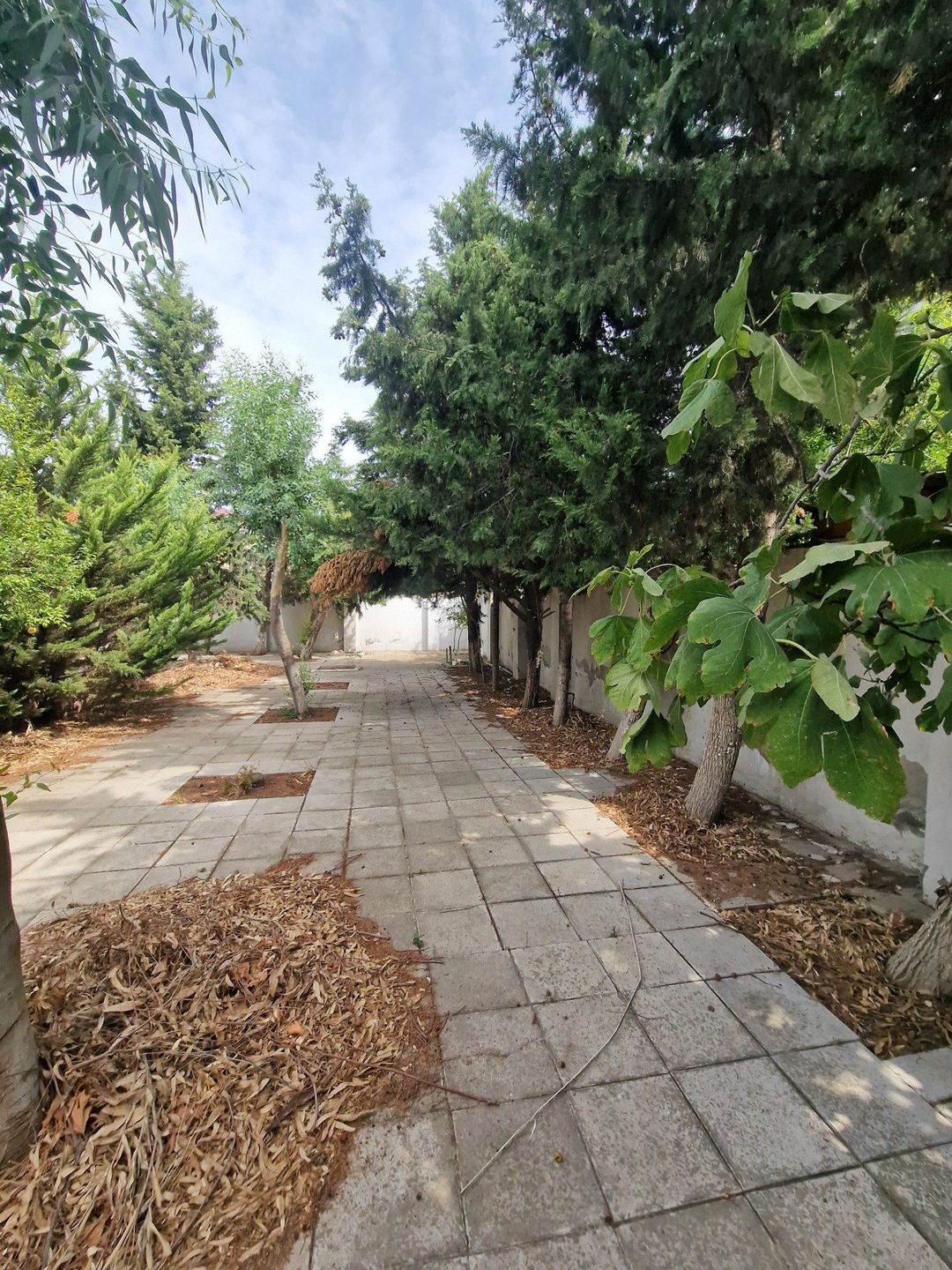 Satılır torpaq 10 sot — Torpaq, Bakı (2)