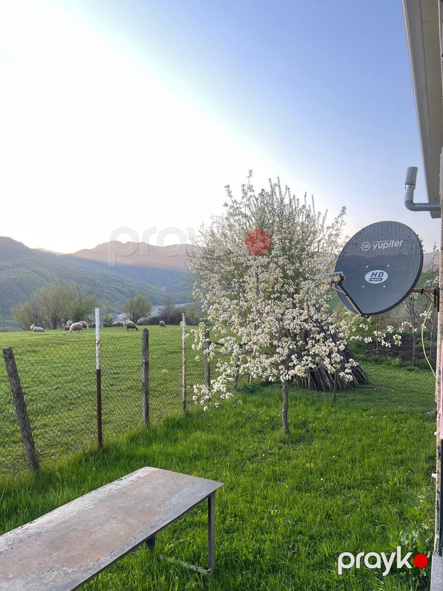 Bağ evi kirayə verilir, Şamaxı ş — Ev, villa, Şamaxı (9)