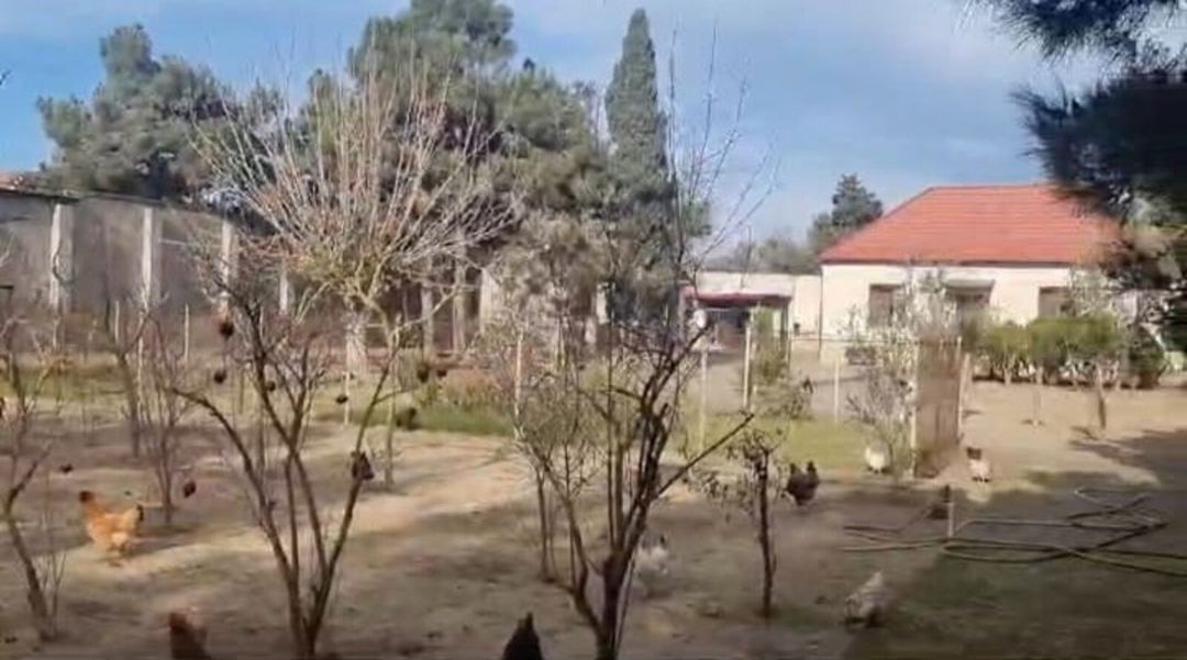 Satılır torpaq 21 sot — Torpaq, Bakı (4)