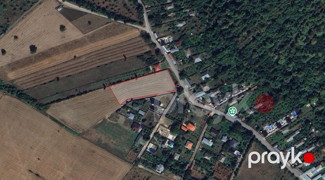 Satılır torpaq 51 sot — Torpaq, Qəbələ (9)