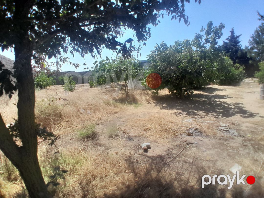 Satılır torpaq 12 sot — Torpaq, Bakı (12)