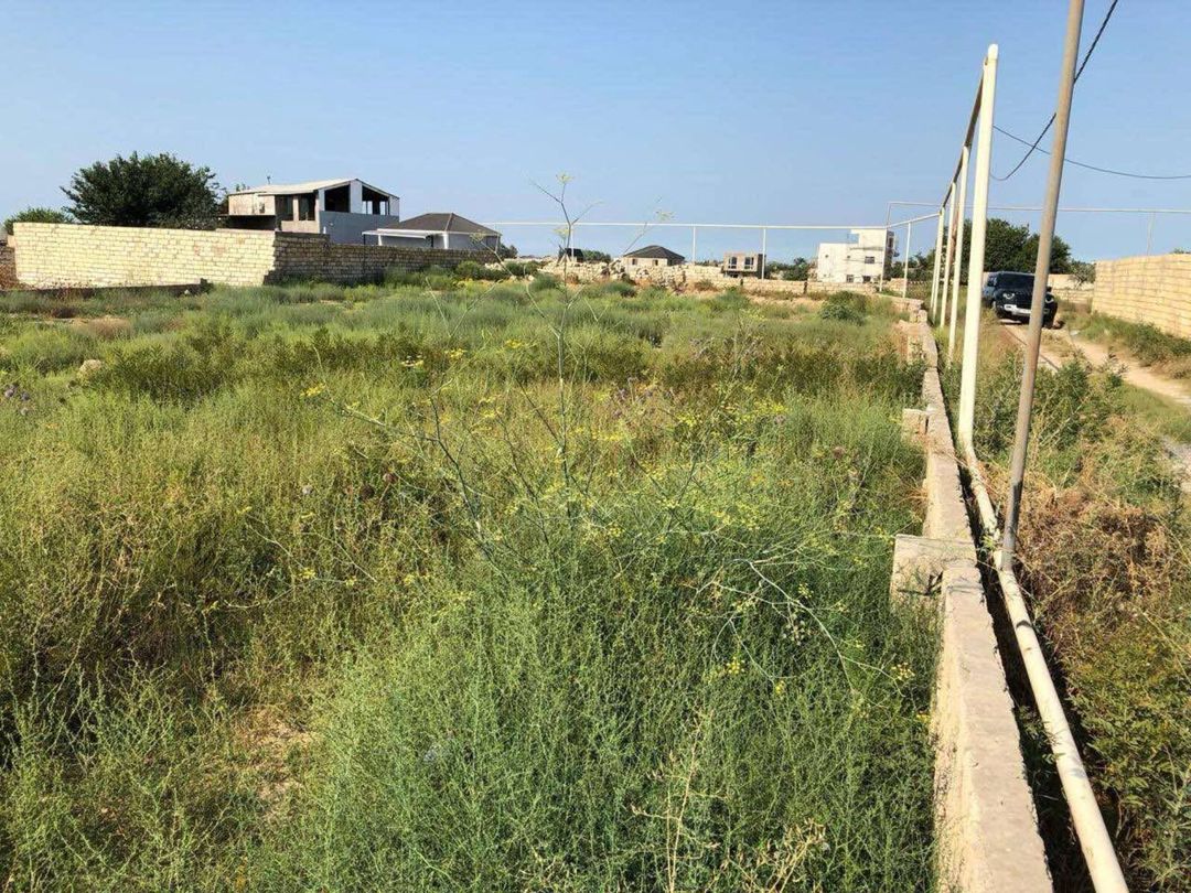Satılır torpaq 12 sot — Torpaq, Bakı (4)