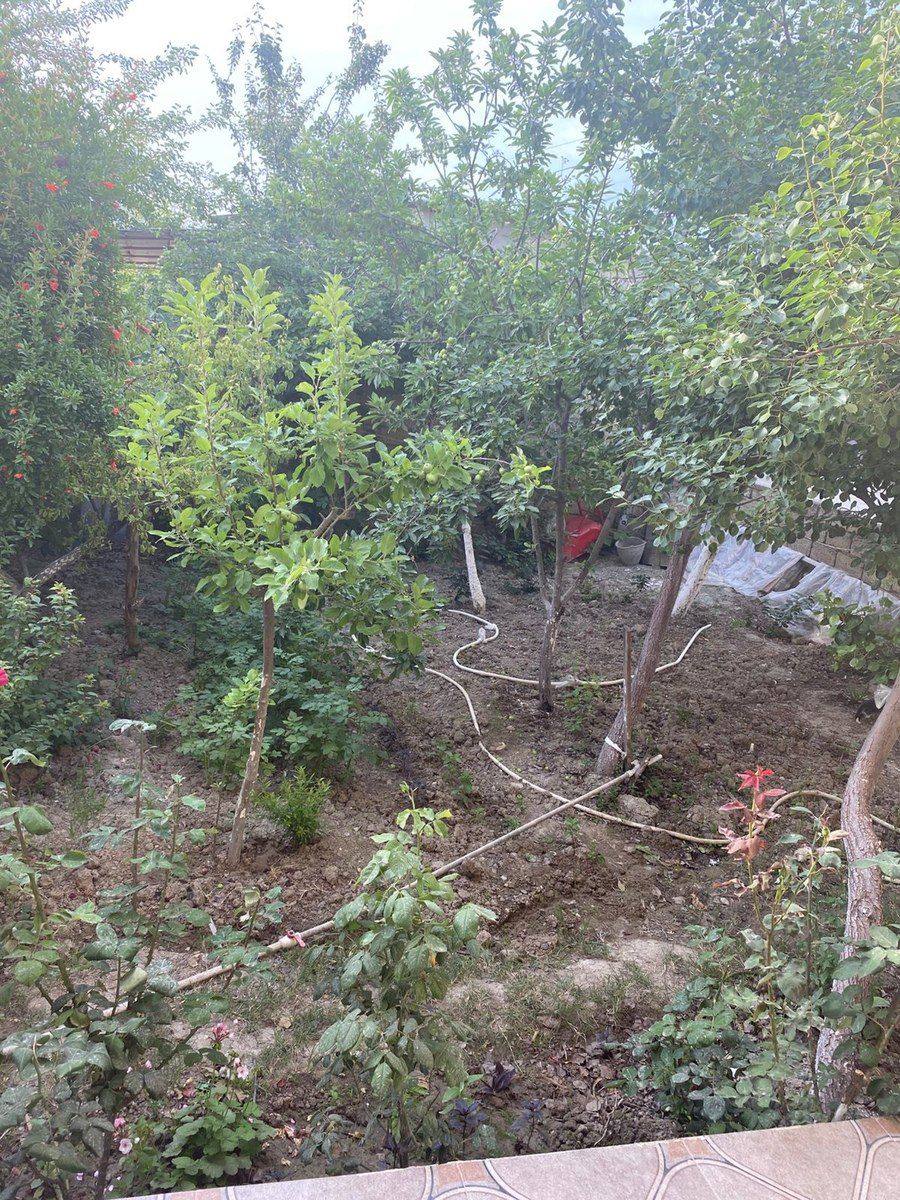 Həyət evi kirayə verilir, Sumqayıt ş — Ev, villa, Sumqayıt (2)