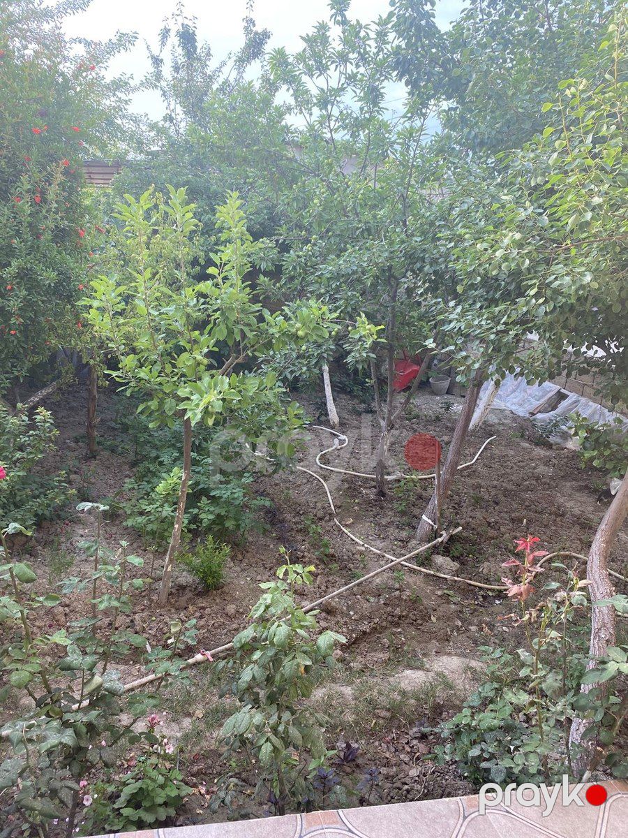 Həyət evi kirayə verilir, Sumqayıt ş — Ev, villa, Sumqayıt (2)