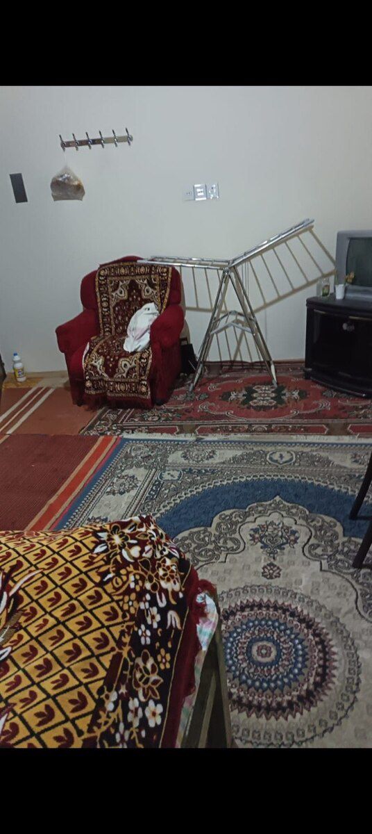 Həyət evi kirayə verilir, Maştağa qəs — Ev, villa, Bakı (4)