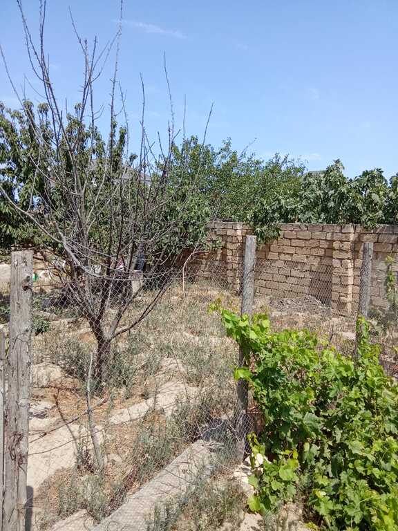 Satılır 3 otaqlı həyət evi/bağ evi 100 m² — Ev, villa, Bakı (7)
