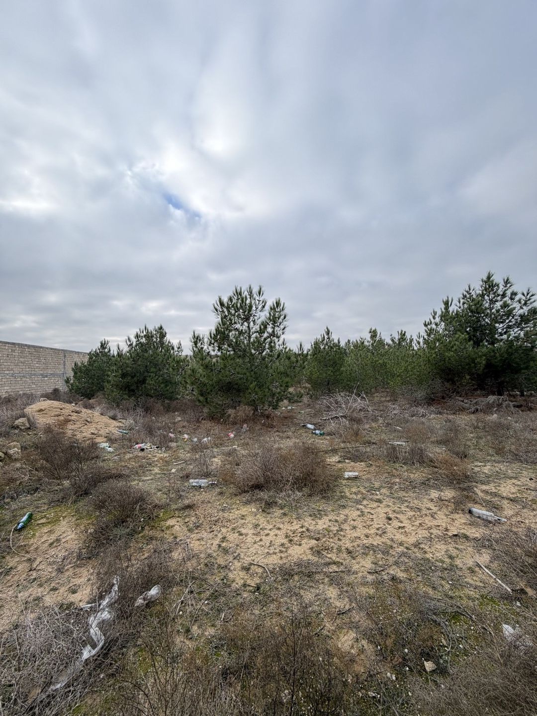 Satılır torpaq 9 sot — Torpaq, Bakı (3)