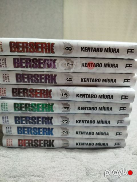 Kitablar səliqəli şəkildə istifadə olunub. Fərqli mangalar və komiks — Bakı