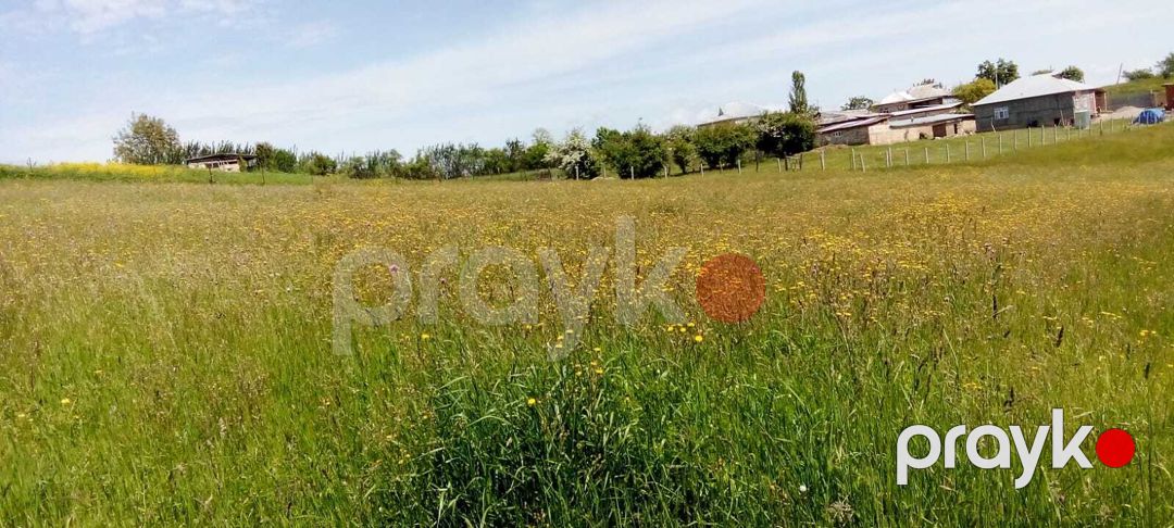 Satılır torpaq 12 sot — Torpaq, Qusar (8)