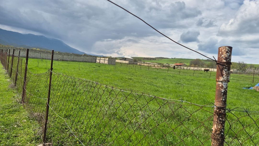 10 sot torpaq sahəsi, Şabran r — Torpaq, Şabran (4)