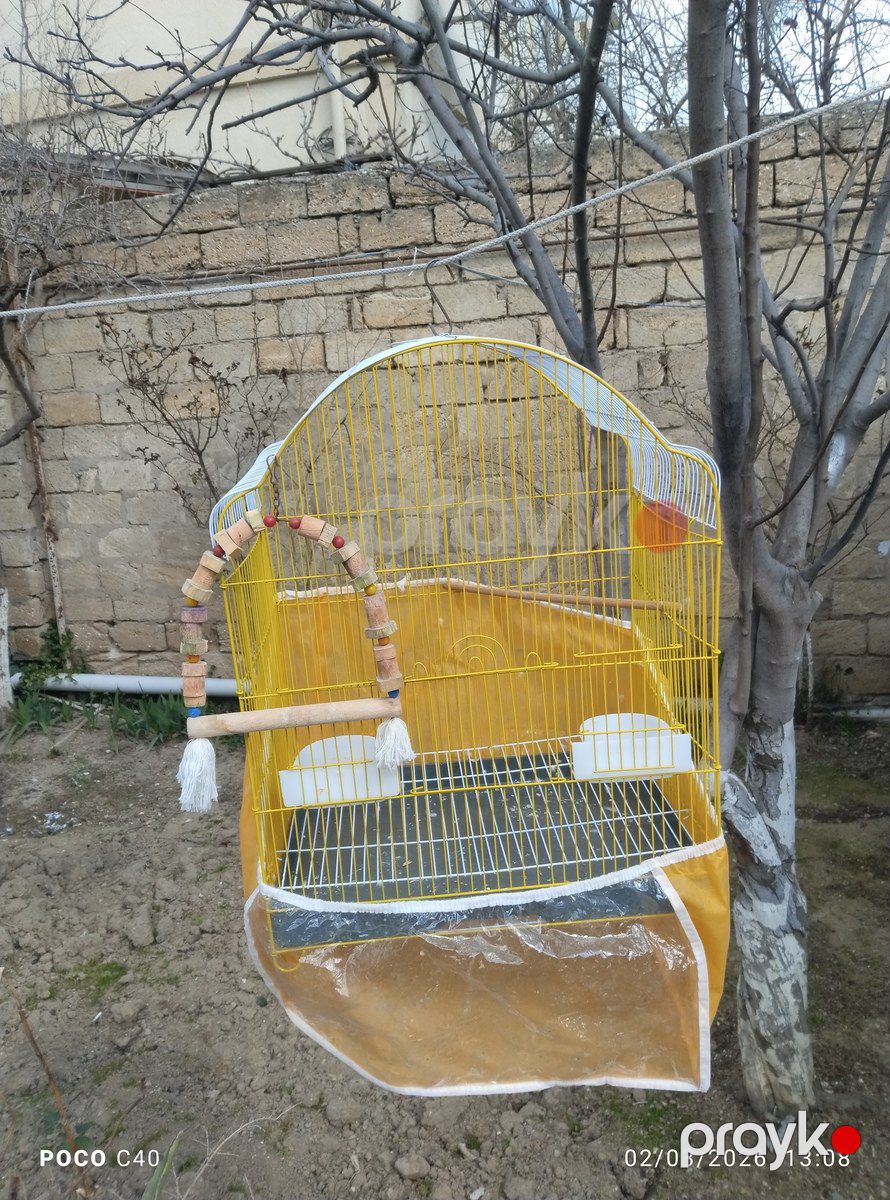 Qəfəs — Heyvan malları, Bakı (3)