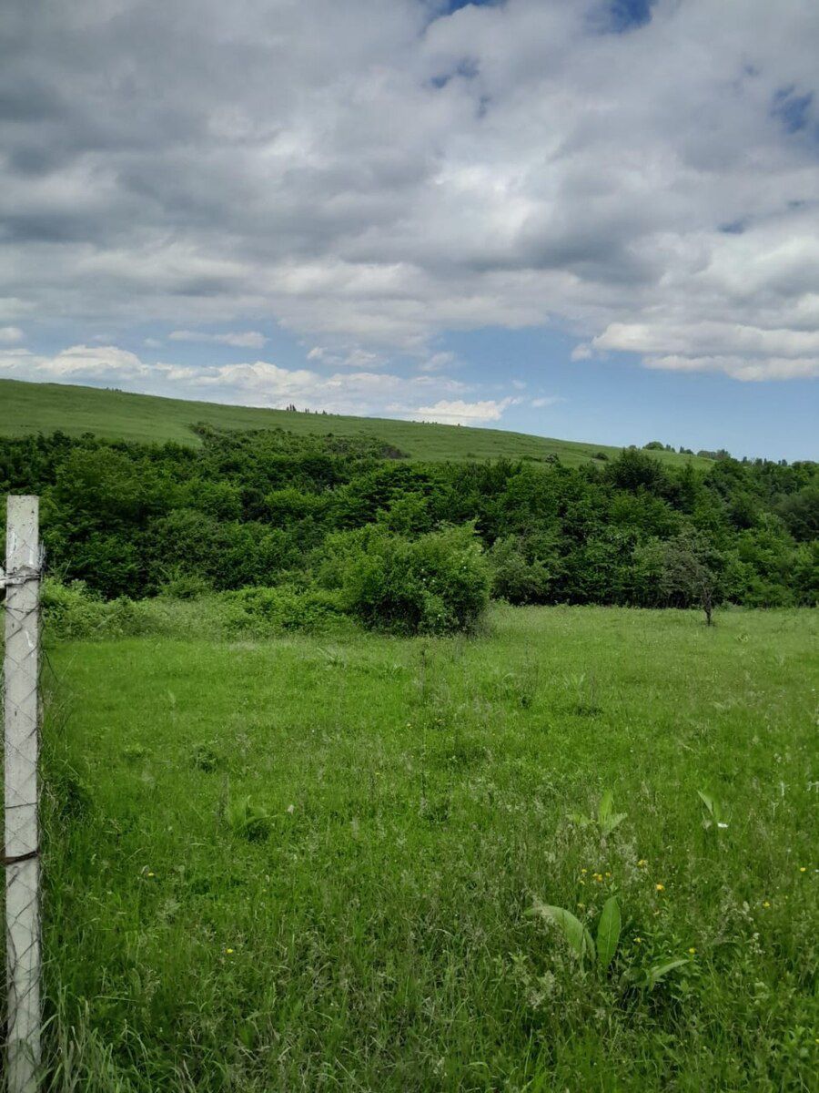 6 sot torpaq sahəsi, Qusar r — Torpaq, Qusar (2)