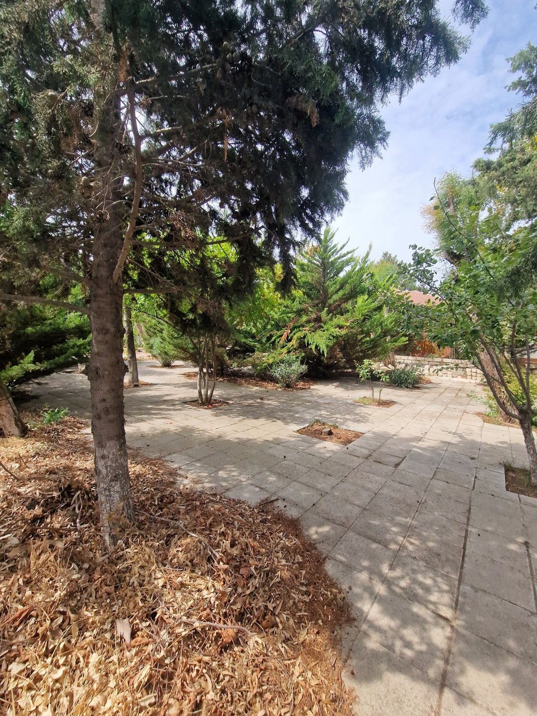 Satılır torpaq 10 sot — Torpaq, Bakı (6)