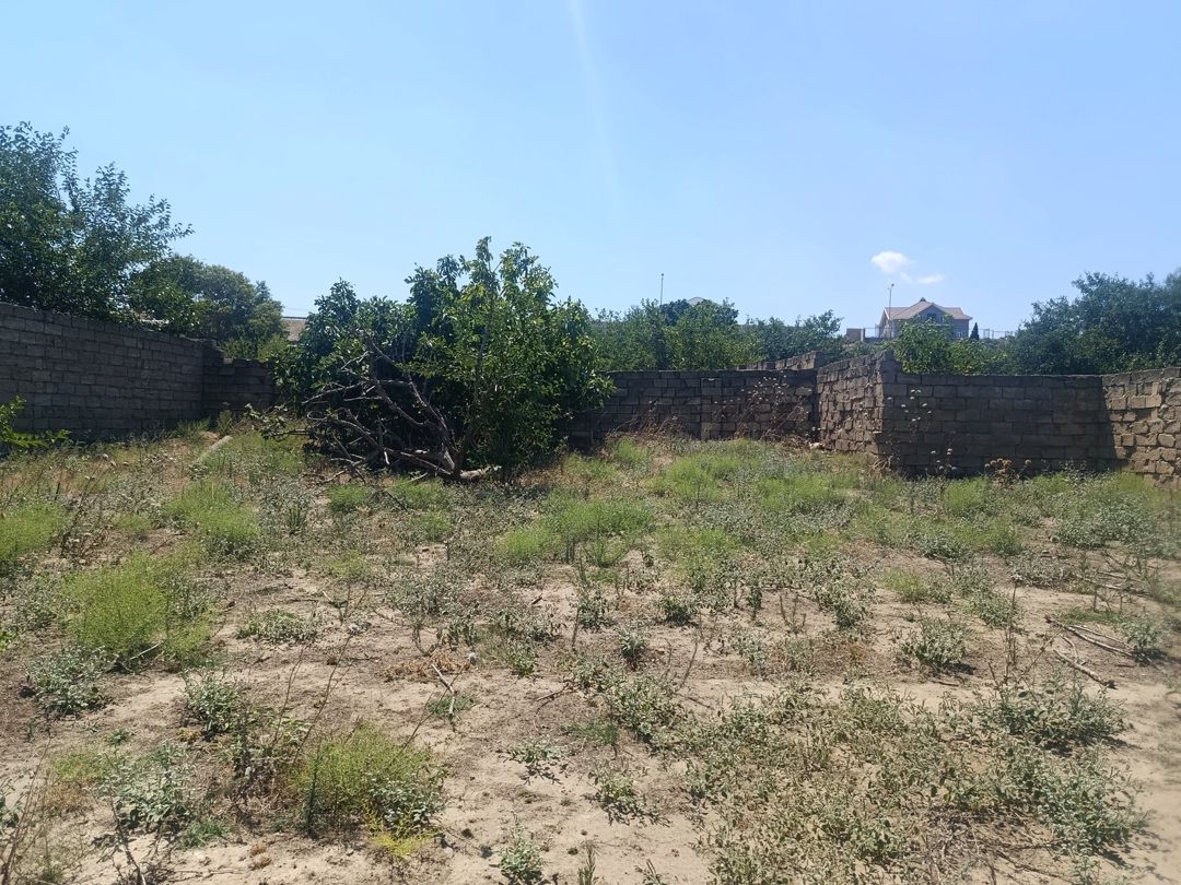 7 sot torpaq sahəsi, Məhəmmədli qəs — Torpaq, Bakı (2)