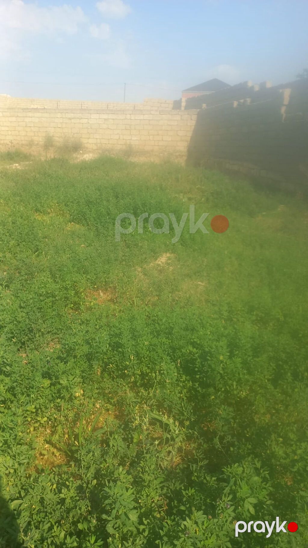 4 sot, Tikinti, Mülkiyyətçi, Kupça (Çıxarış) — Torpaq, Bakı