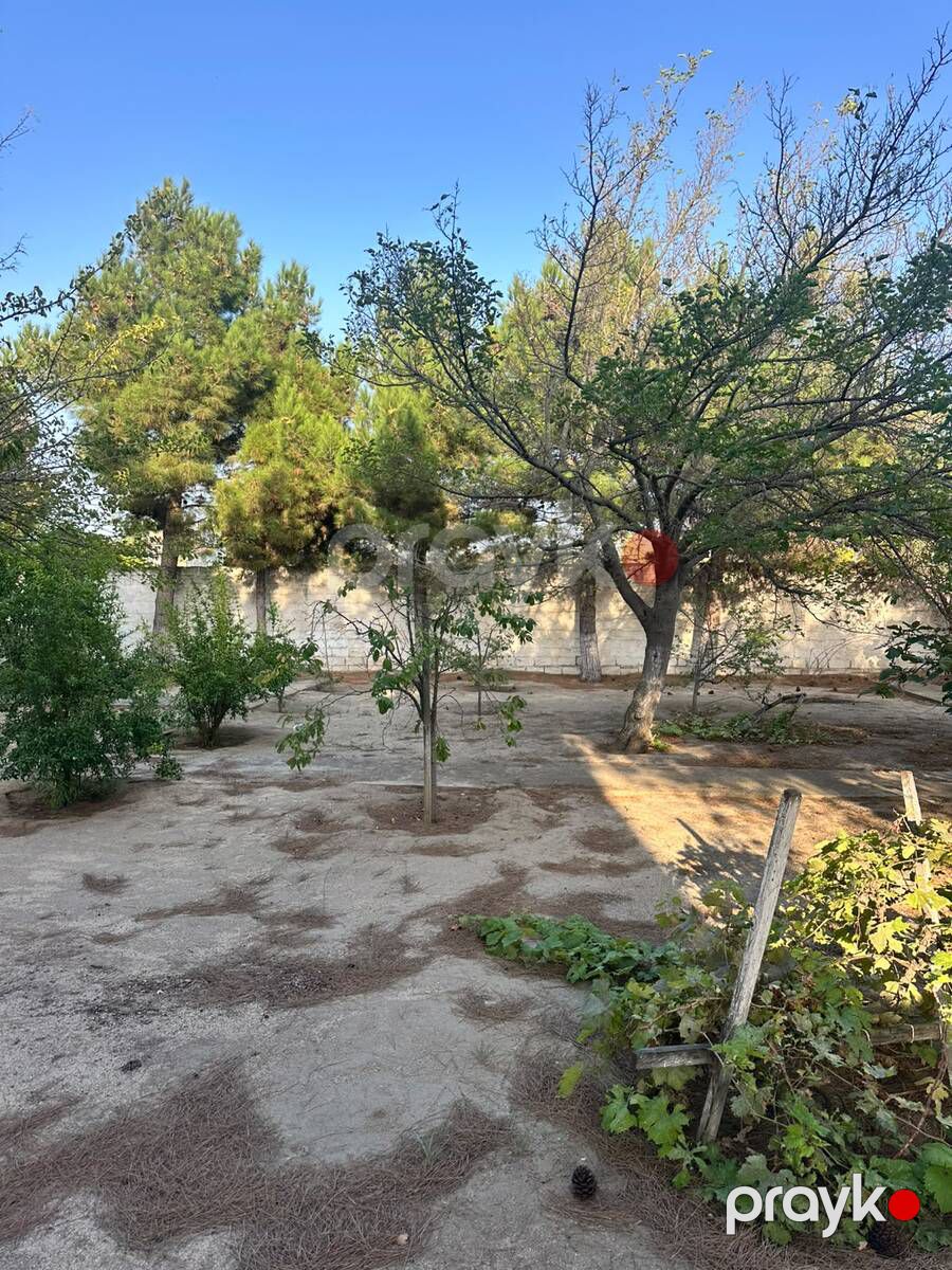 3 sot torpaq sahəsi, Novxanı qəs — Torpaq, Bakı (6)