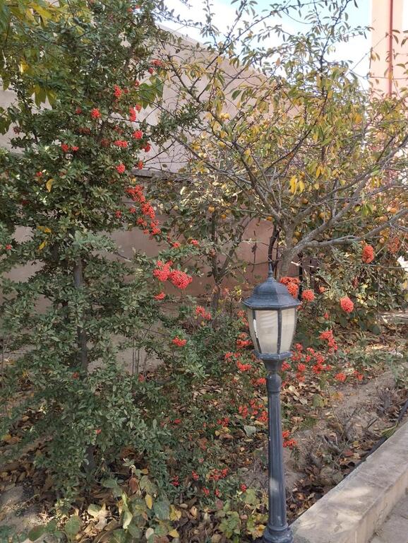 Satılır 6 otaqlı həyət evi/bağ evi 360 m² — Ev, villa, Bakı (8)