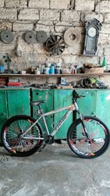 Velosiped 29-luq — Velosipedlər