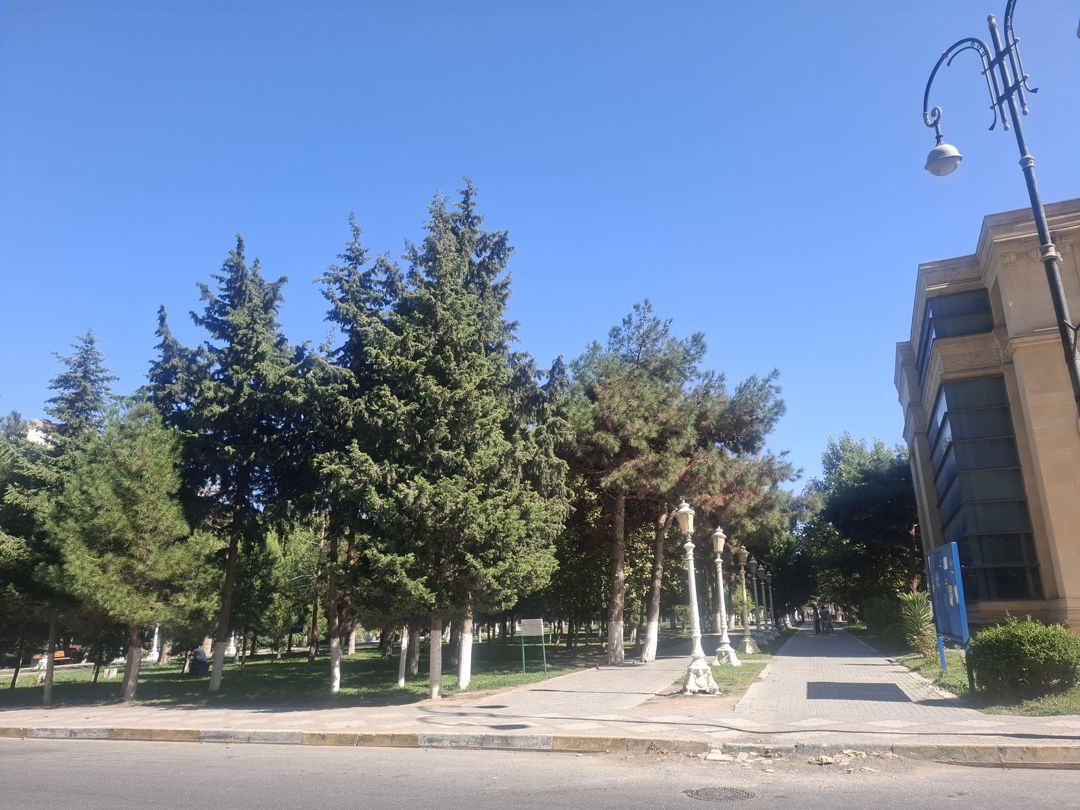 Satılır 2 otaqlı yeni tikili 65 m² — Mənzil, Xırdalan (11)