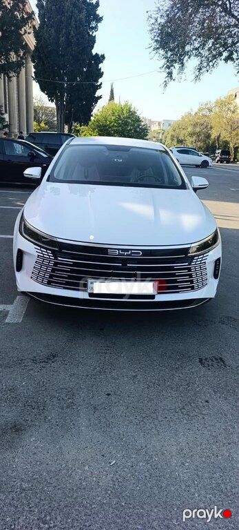 BYD Destroyer 05, 1.5 L, 18.3 kWh, 2024 il, 51 939 km