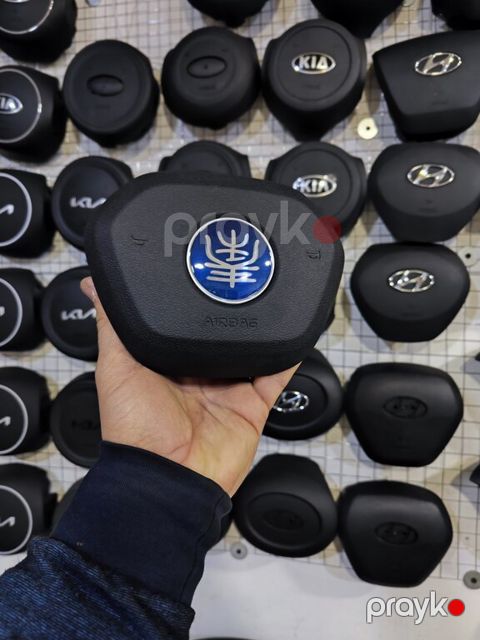 "BYD Qin Plus" airbag