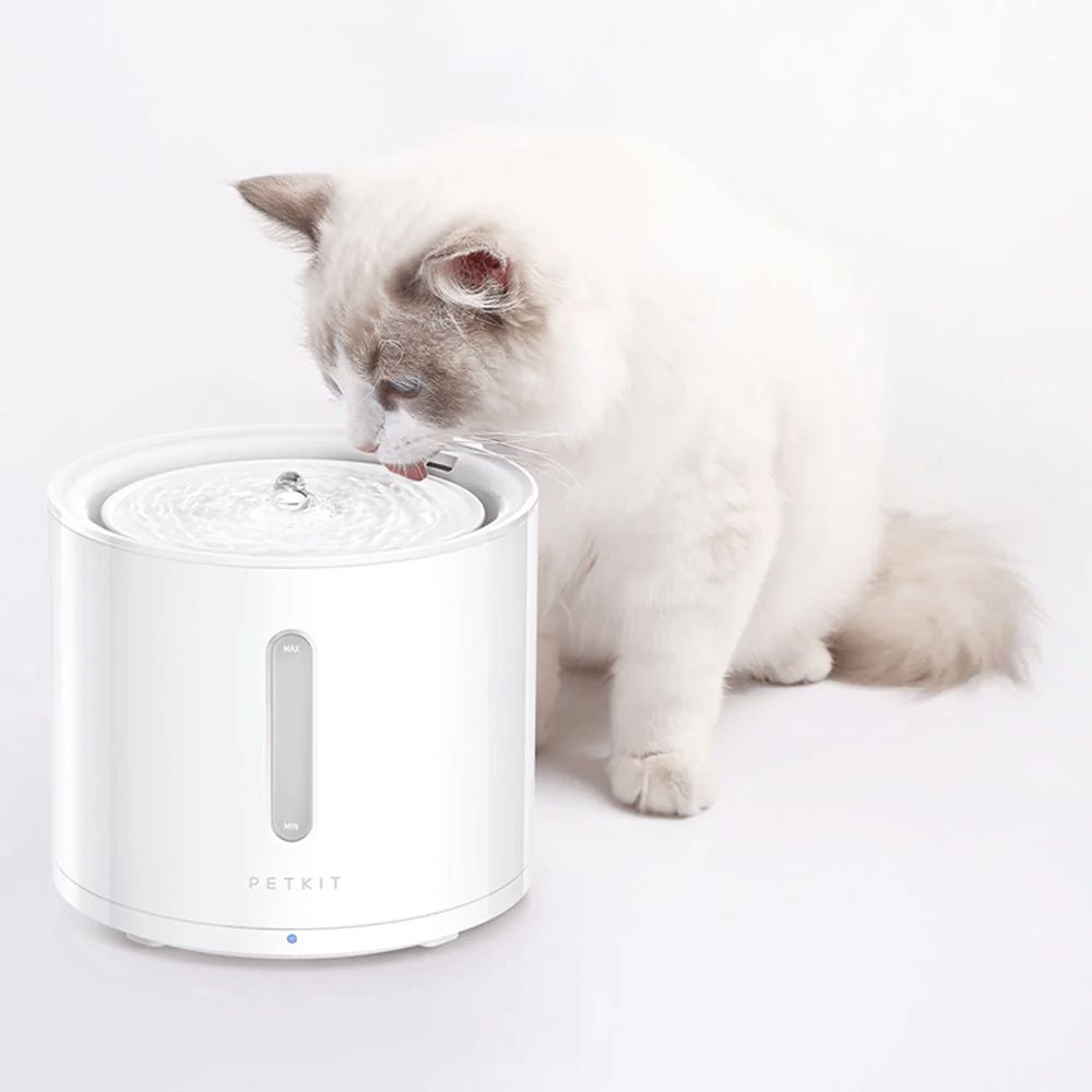 Su qabı üçün filtr Petkit Unit 3.0 P4161 — Heyvan malları, Bakı (3)