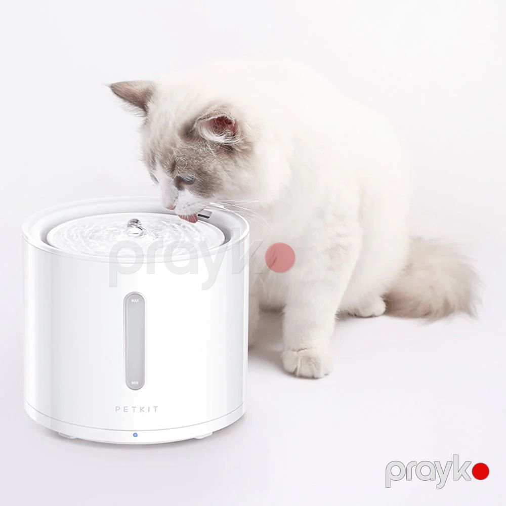 Su qabı üçün filtr Petkit Unit 3.0 P4161 — Heyvan malları, Bakı (3)