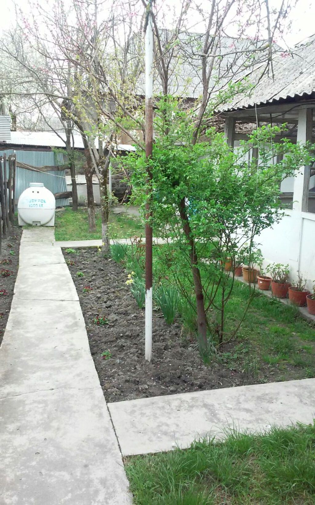 110 kv. m, 3 otaqlı, Qaz, İşıq, Su — Ev, villa, Qəbələ (8)