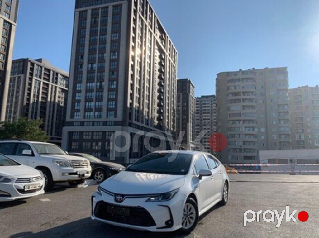 Avtomobillərə dil və proqramların yazılması — Avtoxidmət və diaqnostika, Bakı (3)
