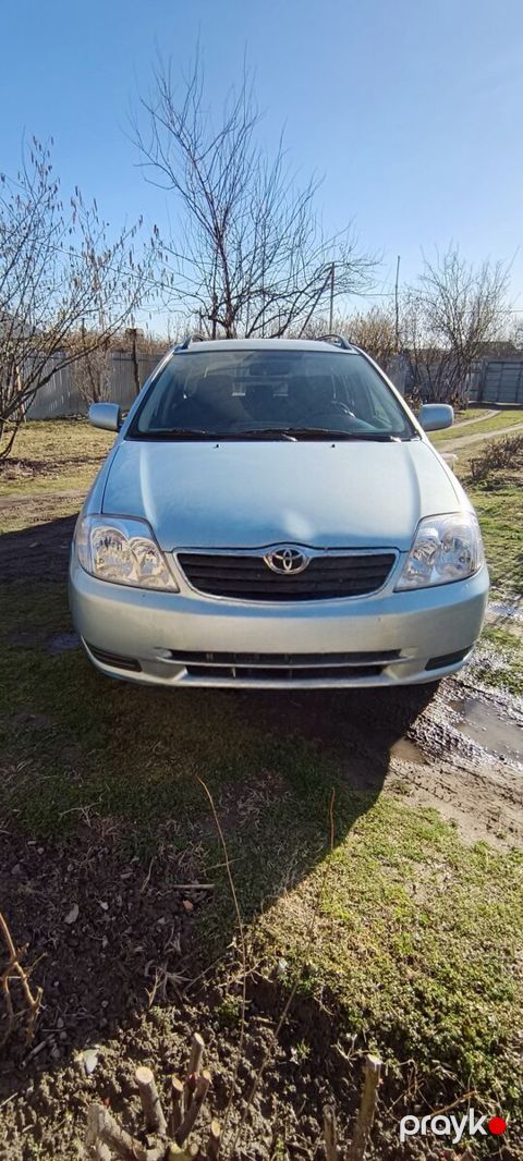 Toyota Corolla, 2005 il — Qəbələ