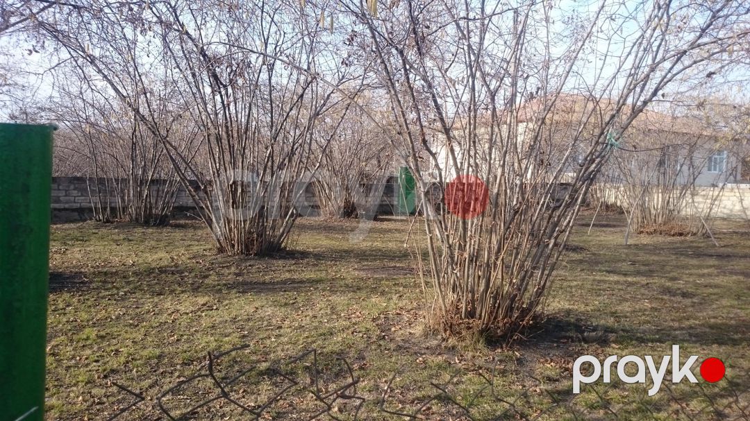 Həyət evi, Zaqatala r — Ev, villa, Zaqatala (10)