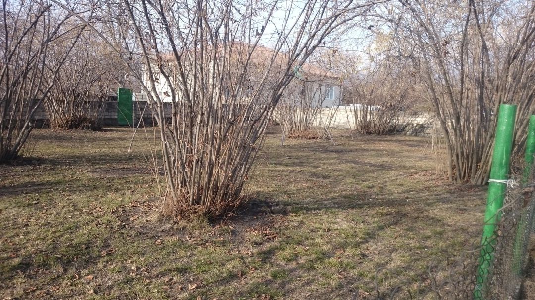 Həyət evi, Zaqatala r — Ev, villa, Zaqatala (11)