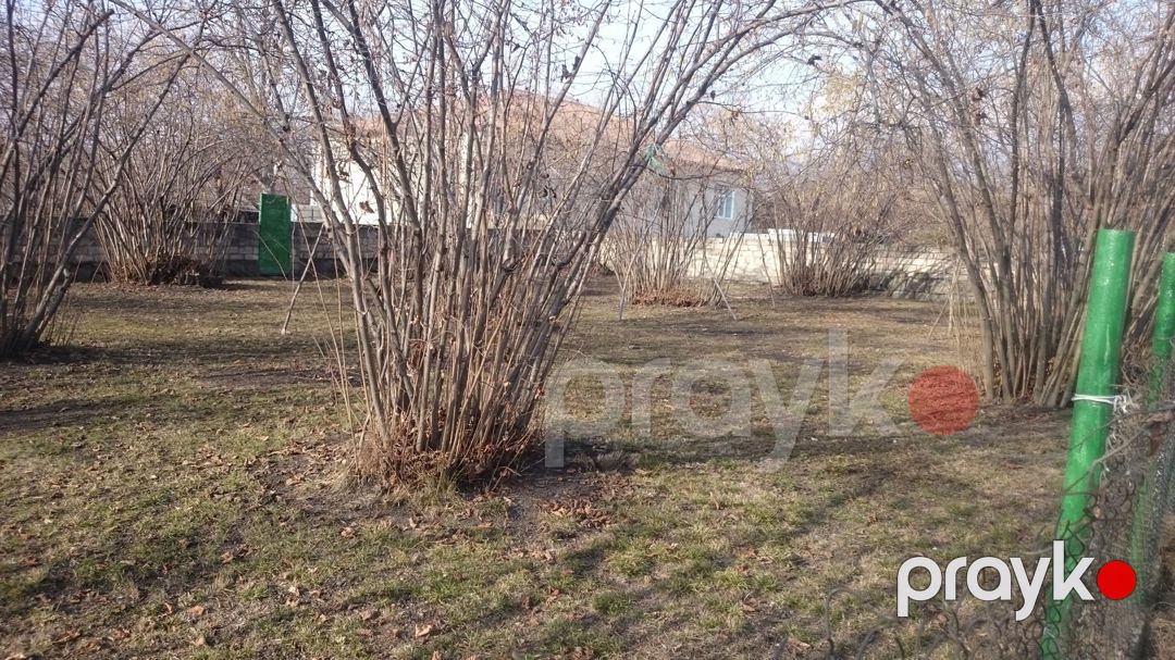Həyət evi, Zaqatala r — Ev, villa, Zaqatala (11)