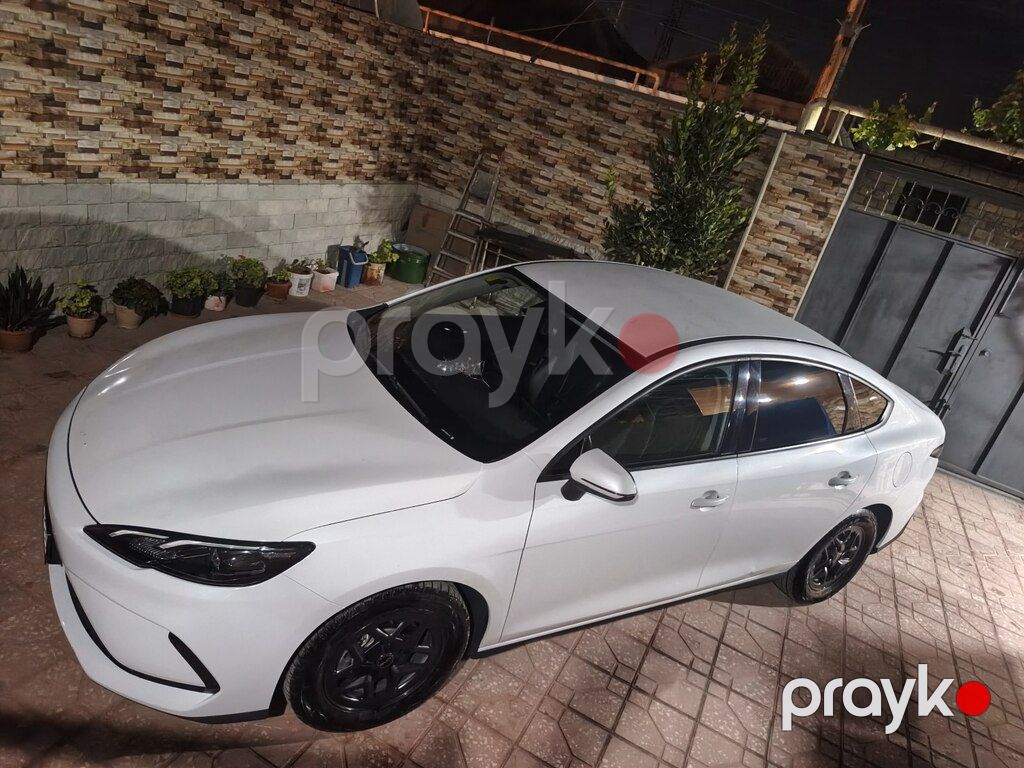 BYD Destroyer 05, 1.5 L, 18.3 kWh, 2025 il, yeni — Avtomobillər, Bakı (12)